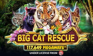 Hình ảnh game Big Cat Rescue Megaways
